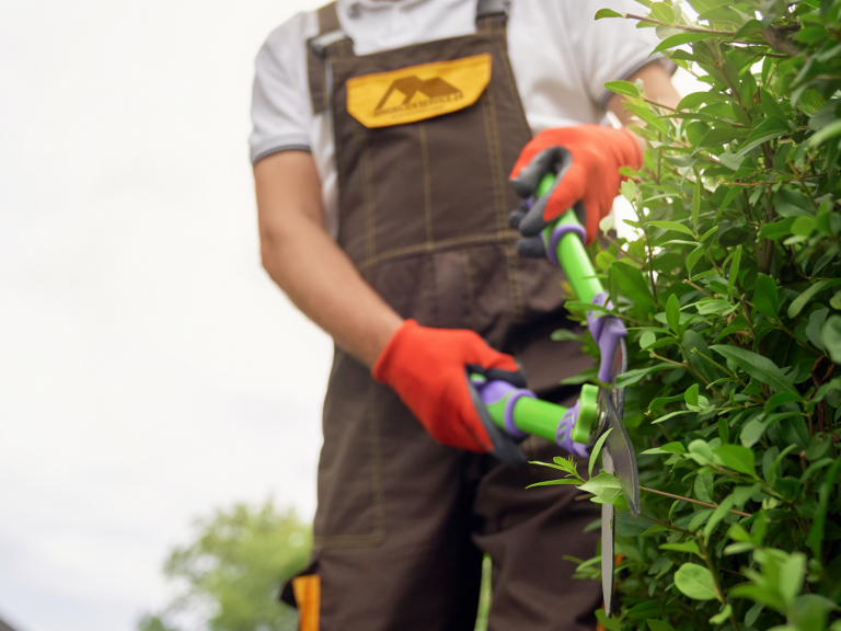 Drei Personen reinigen Büromöbel mit Sprayflaschen und Dampfreinigern.